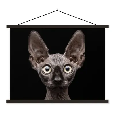 Produktbild von MuchoWow® Textilposter Katze - Haustiere - Porträt - Schwarz 40x30 cm mit schwarzem Rahmen - Dekorationen