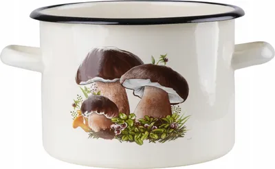 Produktbild von EMALIA RYBNIK Kochtopf aus Stahl 20 cm 4,5 L Beige | Edelstahl Topf | Topf Induktion | Antihaft Topf