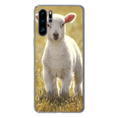 Produktbild von MuchoWow® Handyhülle Schutzhülle Hülle für Huawei P30 Pro Schafe - Gras - Sonne Silikon Softcase Handy Hülle - Schutzdeckel