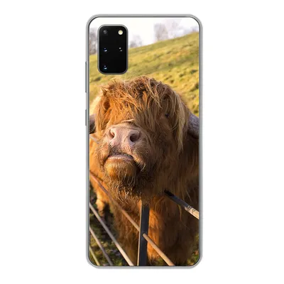 Produktbild von MuchoWow® Handyhülle Schutzhülle Hülle für Samsung Galaxy S20 Plus Scottish Highlander - Zaun - Gras Silikon Softcase Handy Hülle - Hartschale