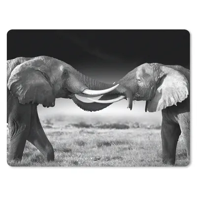 Produktbild von MuchoWow® Mauspad Mousepad Elefant - Tiere - Schwarz und weiß - Porträt - Landschaft 23x19 cm - Mousepads - Maus Mat - Pad - Mausunterlage - Schreibtischunterlage - Mauspad