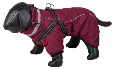 Produktbild von Nobby Hundemantel Elor 2 in 1 bordeaux, Größe: 60 cm