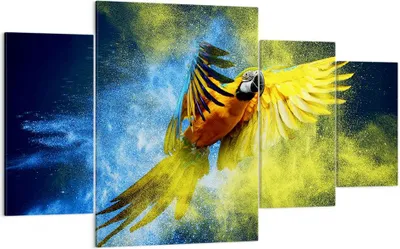Produktbild von Bild auf Leinwand - Leinwandbild - Papagei Vogel Feder - 160x90cm - Wand Bild - Wanddeko - Leinwanddruck - Bilder - Kunstdruck - Wanddekoration - Leinwand bilder - Wandkunst - DL160x90-3666