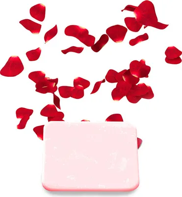 Produktbild von HOME DELUXE - Duftplättchen LIMA für Ionisator - Rose 3,5 x 2,2 cm I Sauna, Saunazubehör