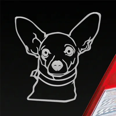 Produktbild von Auto Aufkleber Chihuahua Hund Dog Animal Tier Car 10x10 cm Silber Sticker Heckscheibenaufkleber