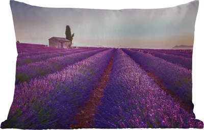 Produktbild von MuchoWow® Outdoor Kissen - Lavendel - Sonnenuntergang - Lila - Blumen - 60x40 cm - Wetterfest - Lounge Kissen - Zierkissen - Kissen für Innenräume