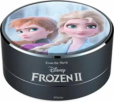 Obrázek produktu pro Přenosný reproduktor Bluetooth mražený černý