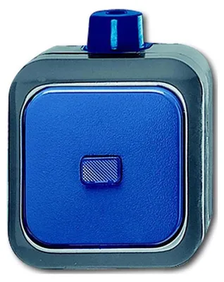 Immagine prodotto di Commutatore Busch-Jaeger AP 2601/6 WDI