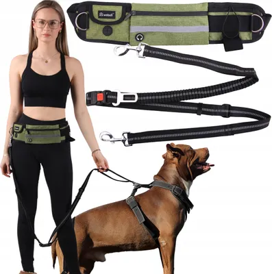 Obrázek produktu pro FIT4MED | Sportovní opasek s vodítkem - Tmavě zelený - Nastavitelný 75-132 cm - Tlumení do 50 kg - Délka 2 m