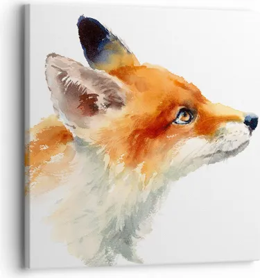 Produktbild von Bild auf Leinwand - Leinwandbild - Fuchs Tier Natur - 30x30cm - Wand Bild - Wanddeko - Wandbilder - Leinwanddruck - Bilder - Kunstdruck - Wanddekoration - Leinwand bilder - Wandkunst - AC30x30-3904