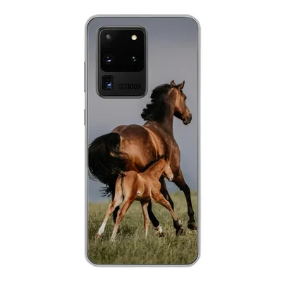Produktbild von MuchoWow® Handyhülle Schutzhülle Hülle für Samsung Galaxy S20 Ultra Tiere - Pferde - Fohlen Silikon Softcase Handy Hülle - Karteninhaber