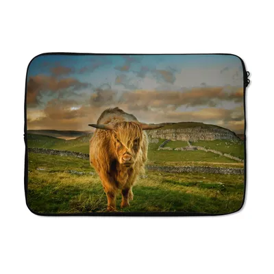 Produktbild von MuchoWow® Laptop Hülle 14 ZollSchottischer Highlander - Gras - Berg Laptoptasche - Laptoptasche - Stoßsicher - Schutzhaube