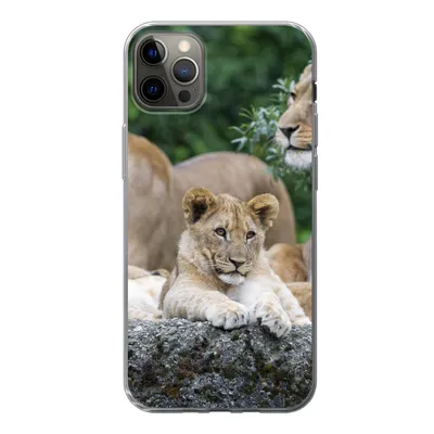 Produktbild von MuchoWow® Handyhülle Schutzhülle Hülle für iPhone 12 Pro Max Löwen - Tiere - Jungtiere Silikon Softcase Handy Hülle - Hartschale