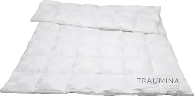 Produktbild von Traumina Cube Daune Kassettendecke WK 3 Größe 240x220 cm