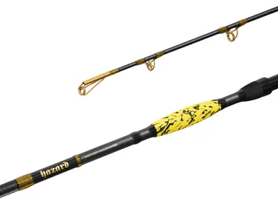 Immagine prodotto di Delphin HAZARD BxG 285cm/505g/2 parti