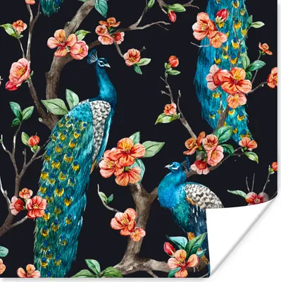 Produktbild von MuchoWow® Poster Muster - Pfau - Blüte - Schwarz 50x50 cm - Wohnzimmerdekoration