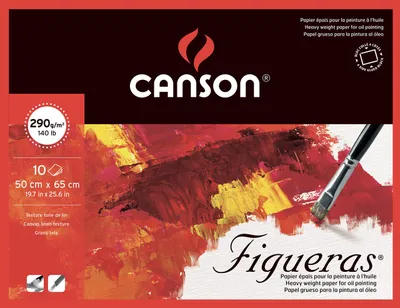 Obrázek produktu pro Canson 200857230 Figueras – Papír pro olejomalbu, 50 x 65 cm, přírodní bílý
