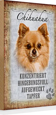 Produktbild von Holzschild Spruch 20x30cm Chihuahua Hund tapfer