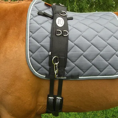 Produktbild von KAVALKADE Longiergurt Klassik schwarz, Pony (P2)