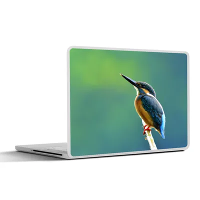 Produktbild von MuchoWow® Laptop Aufkleber Sticker Cover Eisvogel - Äste - Blau 32.5x23.5 cm - Sticker für Laptop - Selbstklebend