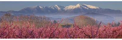 Image de Tableau sur toile le Canigou eneigé 30x97 cm, Tableau mural moderne pour décoration intérieure