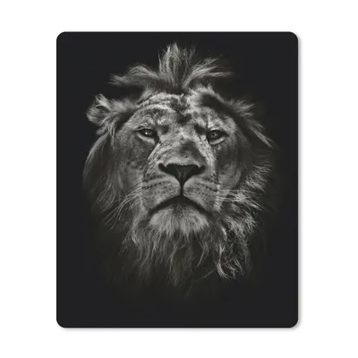 Produktbild von MuchoWow® Mauspad Mousepad Tiere - Schwarz - Weiß - Porträt 19x23 cm - Mousepads - Maus Mat - Pad - Mausunterlage - Mauspads - Spielen
