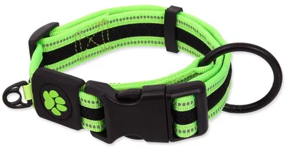 Zdjęcie produktu dla Obroża Active Dog Fluffy S limonkowa 2x27-41cm