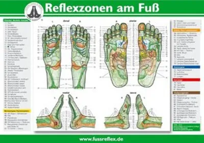 Produktbild von Reflexzonen am Fuß, Poster