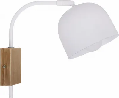 Produktbild von Candellux RUPI Wandleuchte 1xE27 21-75482