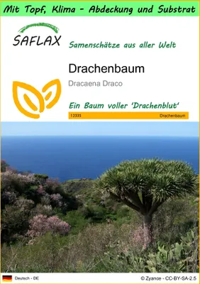 Produktbild von SAFLAX Garden to go - Drachenbaum - Dracaena Draco - 5 Samen - Mit Topf, Klima - Deckel und Anzuchtsubstrat