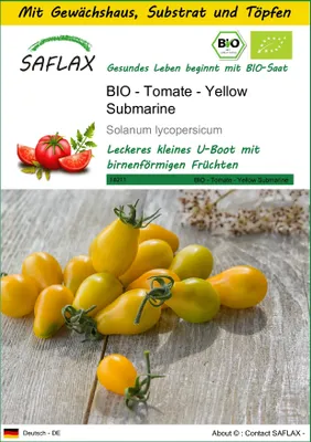 Produktbild von SAFLAX Anzucht Set - BIO - Tomate - Yellow Submarine - Solanum lycopersicum - 10 Samen - Mit Mini-Gewächshaus, Anzuchtsubstrat und 2 Töpfen