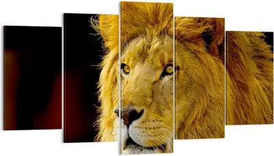 Produktbild von Bild auf Leinwand - Leinwandbild - Löwe Tiere Tierwelt - 160x85cm - Wand Bild - Wanddeko - Leinwanddruck - Bilder - Kunstdruck - Wanddekoration - Leinwand bilder - Wandkunst - EA160x85-1237