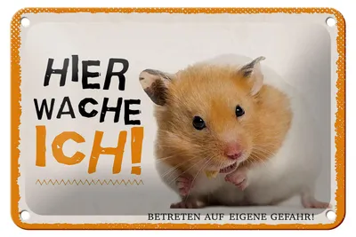 Produktbild von Blechschild Spruch 18x12cm Hamster hier wache ich eigene Gefahr Schild