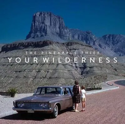 Produktbild von Your Wilderness