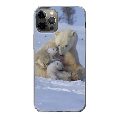 Produktbild von MuchoWow® Handyhülle Schutzhülle Hülle für iPhone 12 Pro Eisbären - Schnee - Weiß Silikon Softcase Handy Hülle - Abdeckung