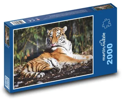 Produktbild von Puzzle 2000 Tiger ruhend im Dschungel - martinpuzzle