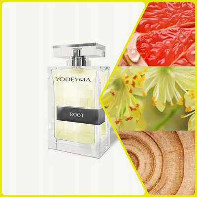 Obrázek produktu pro Pánská parfém Root YODEYMA 100 ml