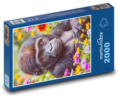 Obrázek produktu pro martinpuzzle - Puzzle 2000 - Gorila a květy