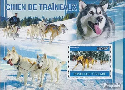 Produktbild von Briefmarken Togo 2010 Mi Block553 (kompl.Ausg.) postfrisch Schlittenhunde