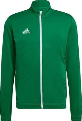 Produktbild von Adidas Entrada 22 Trainingsjacke Herren - Grün  | Größe: XS