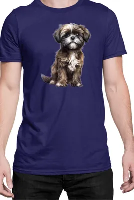 Obrázek produktu pro Pánské Tričko Dogs Breeds Shih Tzu Dog Breed 006, Man L / Tmavě modrá