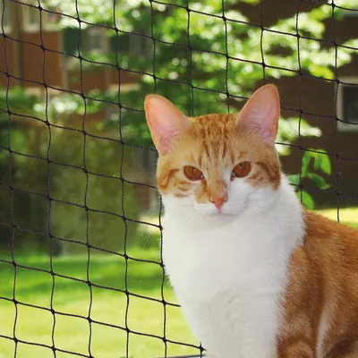 Immagine prodotto di Nobby rete di protezione per gatti M 4 x 3 m nera