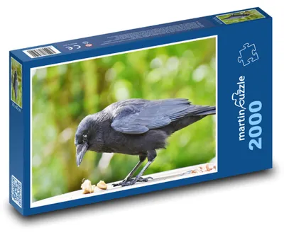 Obrázok produktu pre martinpuzzle - Puzzle 2000 - Vrána - vták