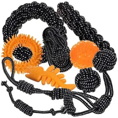 Produktbild von Purlov 24388 Hundespielzeug-Set, 10-teilig