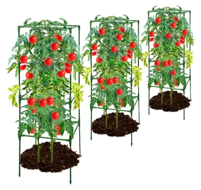 Produktbild von Rankhilfe für Tomatenpflanzen, Stützgitter für Klettergemüse und Blumen