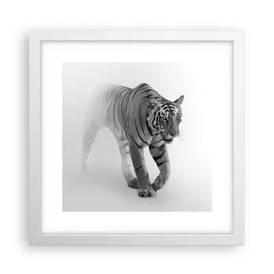 Produktbild von Gerahmtes Poster - Weißer Rahmen - Tiger Monochrom Porträt - 30x30 cm - Wand Bild - Wanddeko - Wandbilder - Kunstposter - Wandposter - Bilderrahmen - Bilder - Kunstdruck - P2WAC30x30-4626