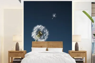 Produktbild von Fotobehang Paardblume 165 x 220 cm