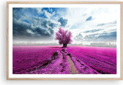 Produktbild von Gerahmtes Poster - Rahmen in heller Eiche - Heidefeld Baum Wolken Landschaft - 91,5x61 cm - Wand Bild - Wanddeko - Wandbilder - Wandposter - Bilderrahmen - Bilder - Kunstdruck - P2NAA91x61-2547