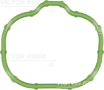 Produktbild von REINZ 71-54268-00 Ansaugkrümmer-Dichtung für MAZDA 6 (GH) CX-9 (TB)