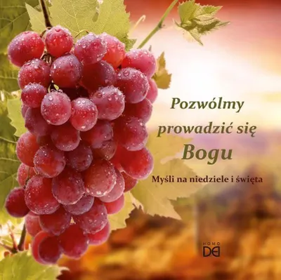 Produktbild von Pozwólmy prowadzić się Bogu